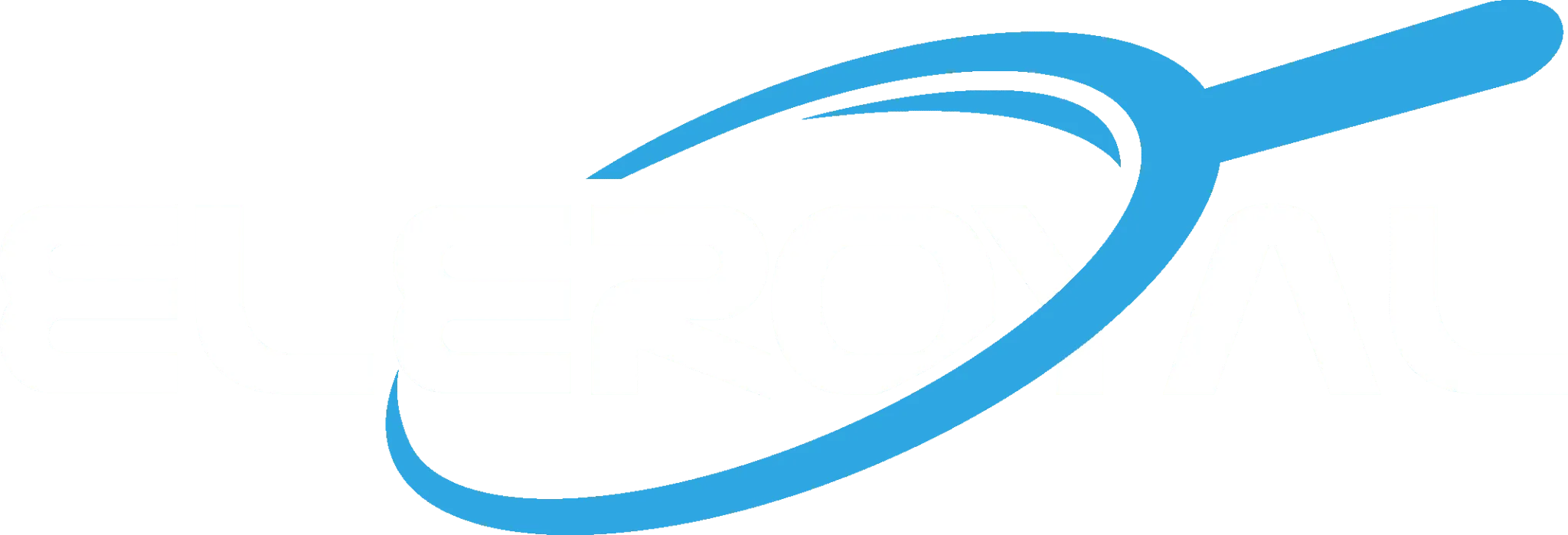 light logo