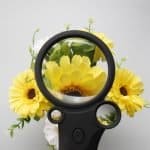 High Power Handheld Magnifying Glass (2.5X 25X 55X) - Multi-Lens LED Jeweler Loupe with UV Detector - Eleroyal Magnifier