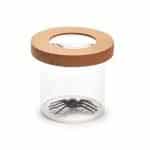 Portable Nature Bug Viewer with Natural Wood Lid, 5X Magnifying Specimen Jar for Montessori Learning - Eleroyal Magnifier