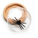 Portable Nature Bug Viewer with Natural Wood Lid, 5X Magnifying Specimen Jar for Montessori Learning - Eleroyal Magnifier