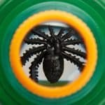Outdoor 2-Way Bug Viewer with Handles, 3X/6X Dual Perspective Insect Magnifier for Kids - Eleroyal Magnifier