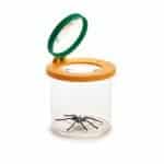 Insect Jar Bug Viewer with 3X/5X Magnifying Lid, Educational Nature Collecting Kit for Children - Eleroyal Magnifier